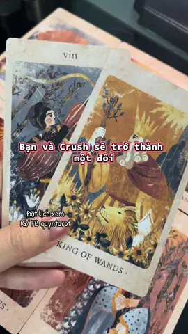 #quyntarot #thongdiepvutru #tarotreader 