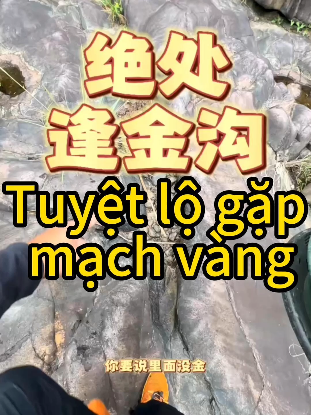 Tuyệt lộ gặp mạch vàng!!!#đãivàng #giávàng #thểthaongoàitrời #ngoàitrời