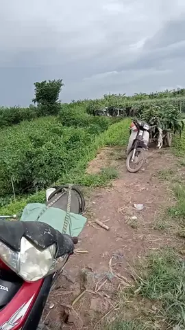 bữa nay xe quá trời rồi