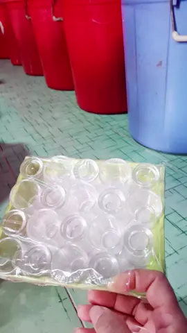 Lý nhỏ ly Rượu ly mica##lynholyruou#bichnhugiadung 