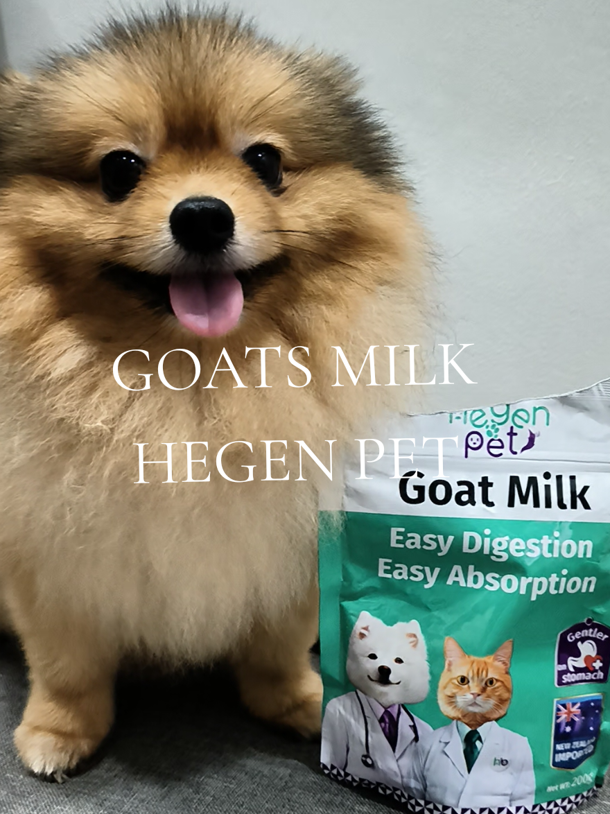 Hegen Pet Goat Milk , suitable as a supplement, for sick pets, or as a mother's milk substitute for young animals.  #goatsmilk  #petsmilk  #puppy  #kittens 