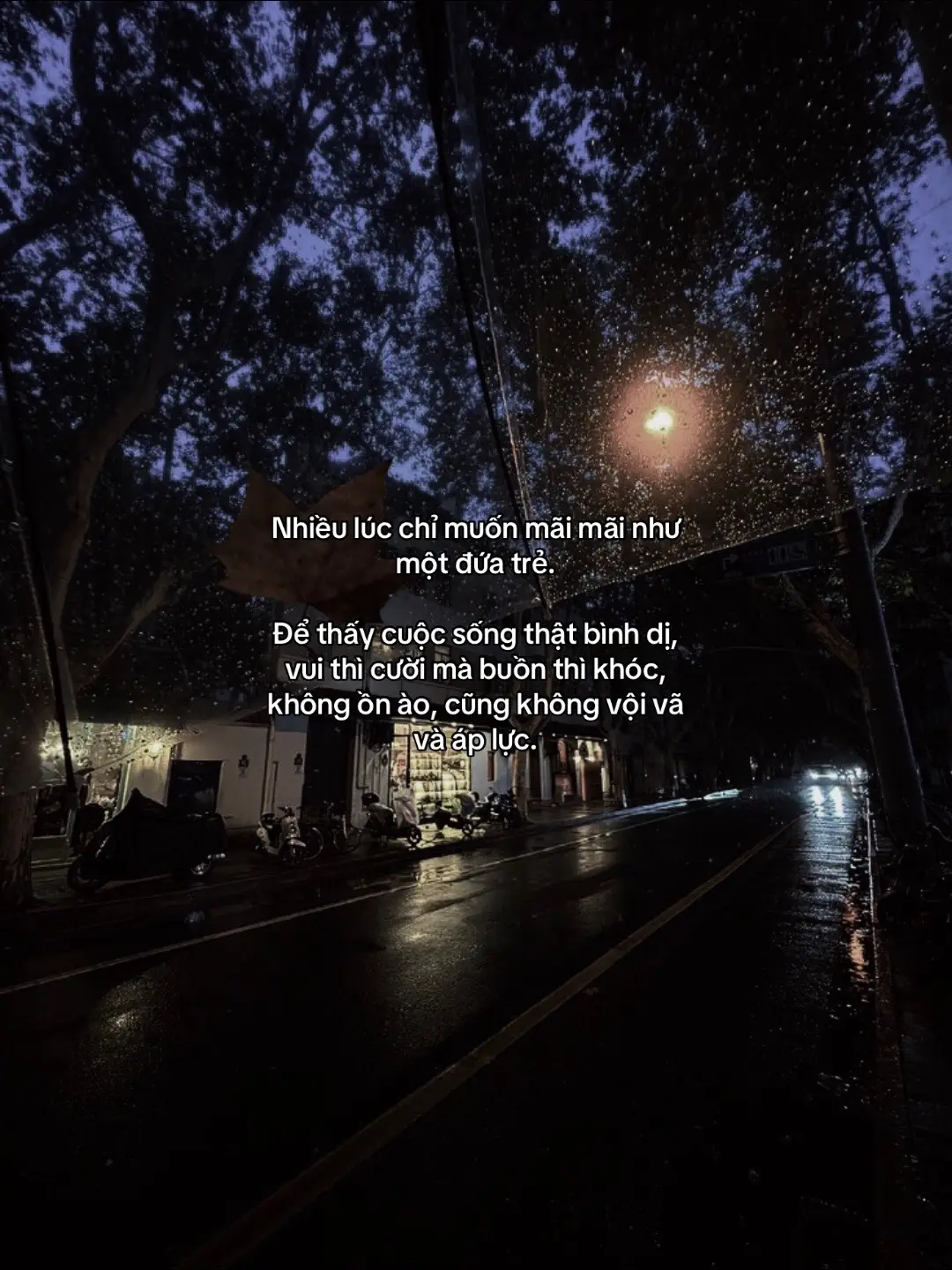 Nhiều lúc chỉ muốn mãi mãi như một đứa trẻ. Để thấy cuộc sống thật bình dị, vui thì cười mà buồn thì khóc, không ồn ào, cũng không vội vã và áp lực.#viralvideo #top1xuhuongtiktok 