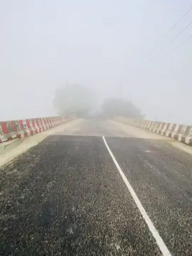 এমন একটা সময়ে এসে দাড়িয়েছি কি করলাম, কেনো করলাম, সামনে কি হবে কিছুই বুঝতেছি না। 💔#vairal_video #Foryou 