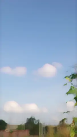 শখের প্রবাসী 