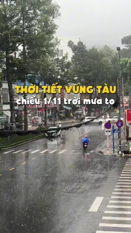 Thời tiết Vũng Tàu chiều 1/11 mưa to #thuedodulich #thuedogiare #thoitietvungtau #vungtau #dulichvungtau 