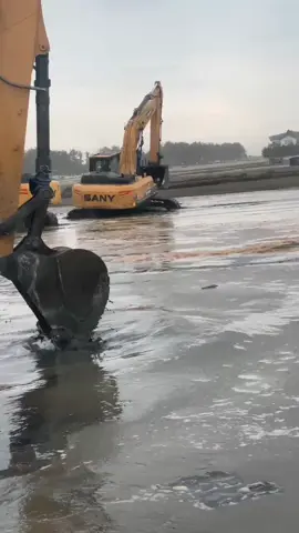 miền bắc có hạ long xanh, miền nam có cần giờ. bắc nam chung tay phát chuyển cho ngành du lịch Việt Nam #changtrai79kh 