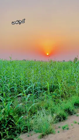 #unfrezzmyaccount #unfrezzmyaccount #unfrezzmyaccount @🥀!_جانے بلوچ_!🥀 @عامر گرانی❣️ @بلوچستان عشق است🐪🏜️🪶 @dAshtLaiLA23 @💸ایاز گرانی💸 @Crown Gems & Jewellery 💎 