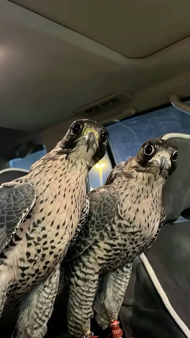 ضيَّعت أجمل وقت عمري بجنبك ضحيت يوم ان الحبايب يضحون بس انت ما تستاهل ابقى بقربك