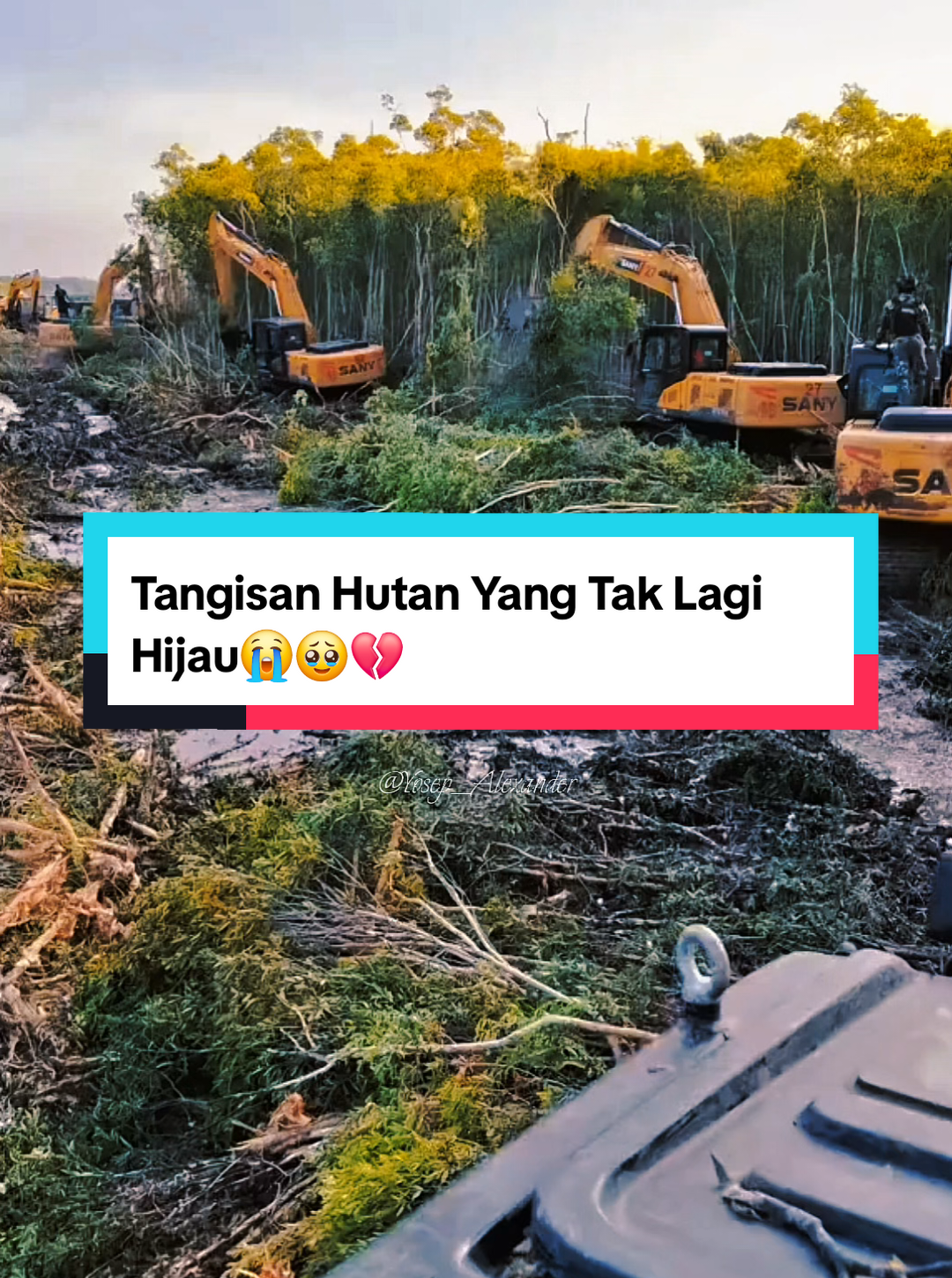 Indonesia suka pamer kekayaan alamnya, tapi lupa menjaga isinya. Di balik pidato 