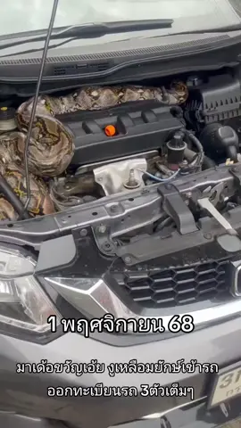 #สาวโรงงาน #แม่ค้าออนไลน์ #โชคดี #คนไทยในเกาหลีใต้🇹🇭🇰🇷 