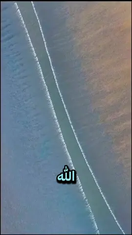 #fypシ゚viral #fy #f #fyppppppppppppppppppppppppp #صلى_على_رسول_الله_صل_الله_عليه_وسلم 