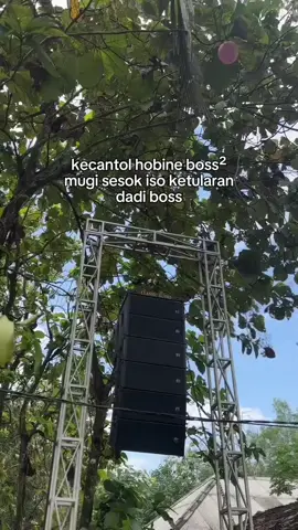 Amiinbos#fyptentangsound #fypsound #soundkonten 