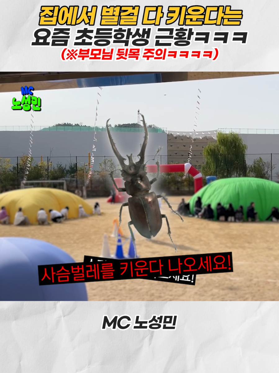 미션 걸리면 바로 아웃!!! “집에서 사슴벌레 키운다?” ㅋㅋㅋㅋㅋㅋㅋ 나오세요~