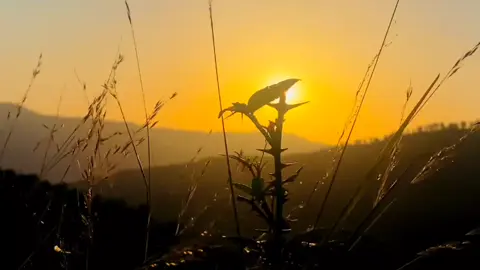 اس اکھیاں نہ کہ ہم جب ڈوبے تو سمندر کو بھی حیرت ہوئی #nature #views #wade_e_banah 