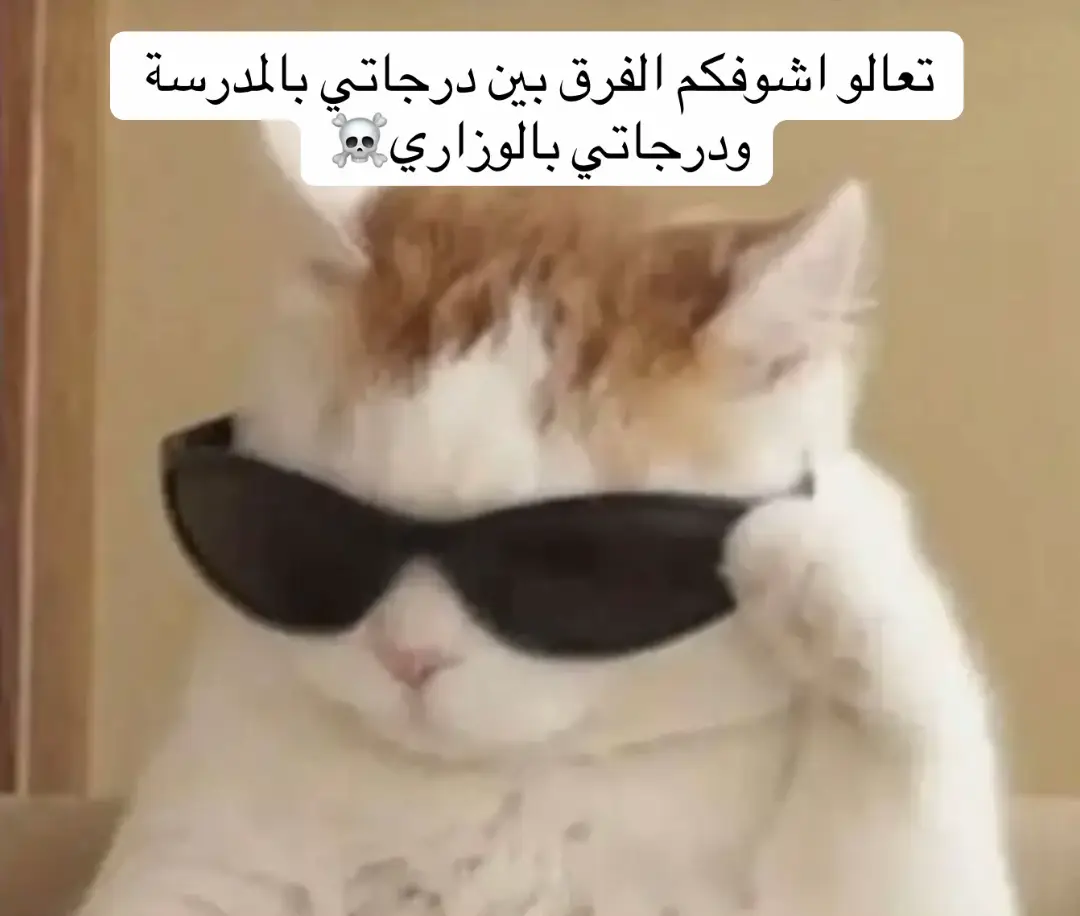 . #الشعب_الصيني_ماله_حل😂😂 #explore #سادس #طب #ترند 