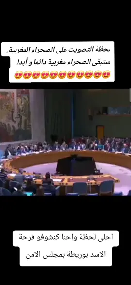 #مغربنا_أنت_فخر_لنا #اسد_الصحراء #creatorsearchinsights 