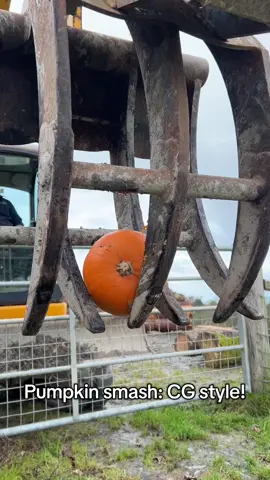 Pumpkin smash, CG STYLE 🎃 🚜 #pumpkinsmash #pumpkin #tractor #jcb #chucklinggoat 