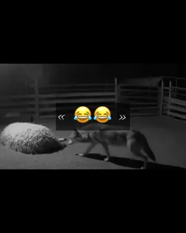 😂😂#fyp #foryou #foryoupage ##bela_9x 