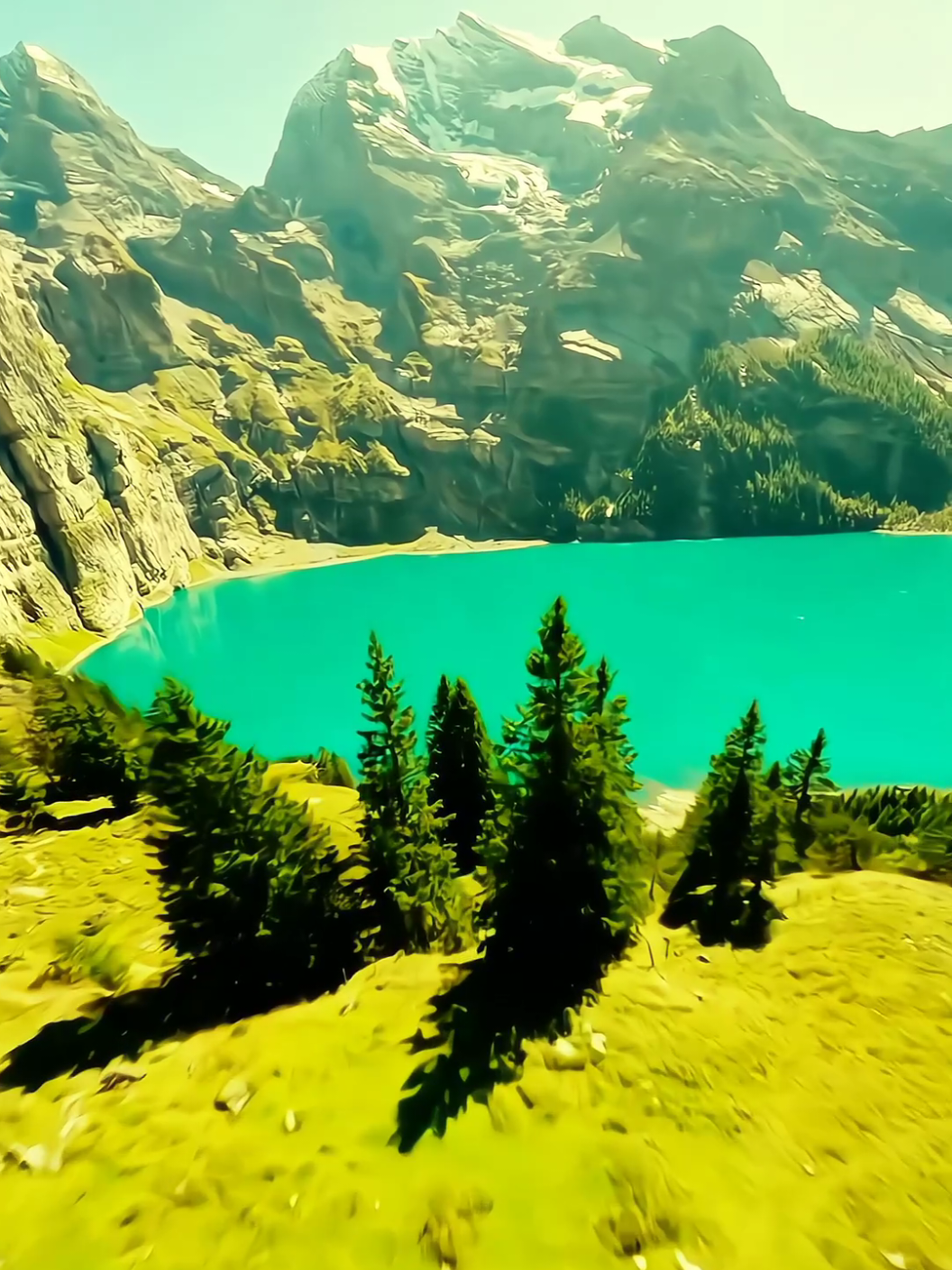 #aesthetic #nature #relax #moody #foryou 