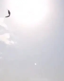 #حمام_لوت_مشاقل_اكشن_مياز #حمام_لوت_الاكشن #حمام_لوت_الكويت #حمام_لوت_قلابي_حمام_بصراوي #حمام_لوت_قلابي 