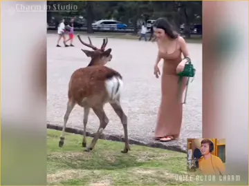 #myanmar #myanmartiktok🇲🇲🇲🇲 #myanmartiktok #myanmarcelebritytiktok #myanmarsong 