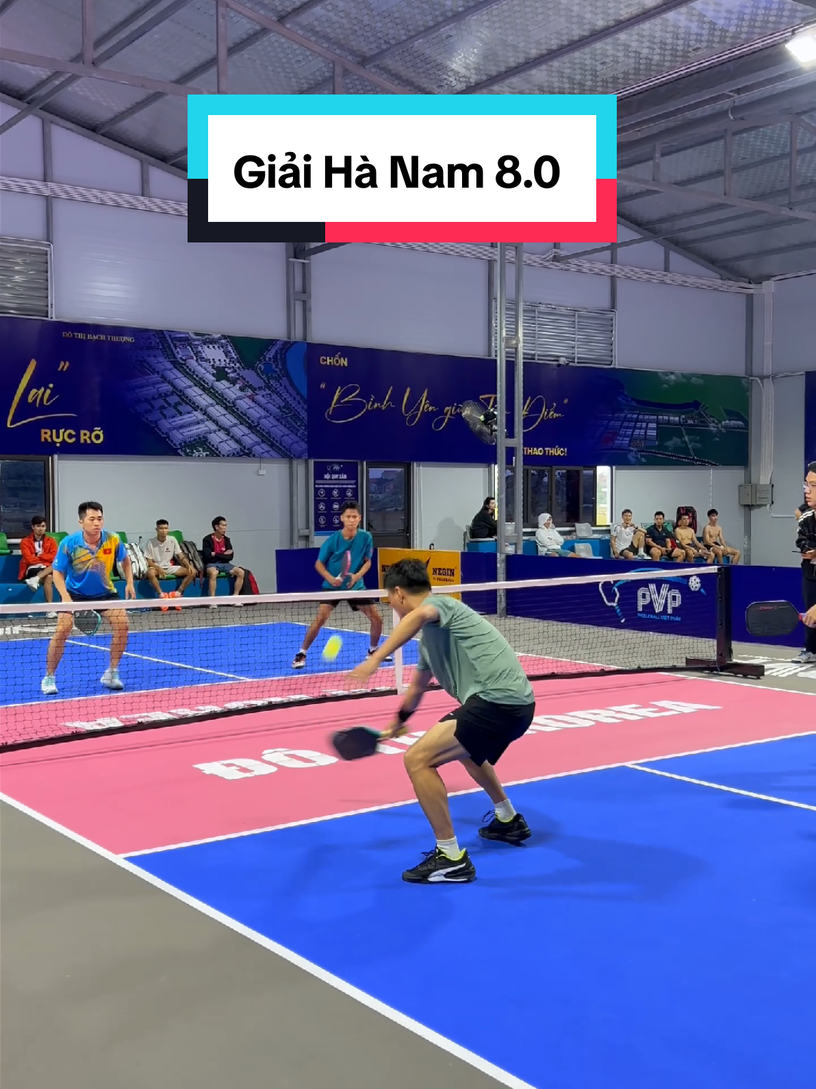 Vô địch Seagames bóng bàn oánh pick 8.0 sẽ như thế nào 🤔 #pickleball #Sontran #Sportbase #ductuan