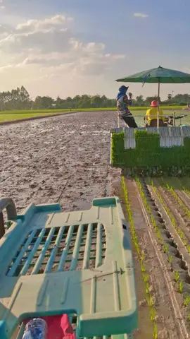 🔰วัยรุ่นรถดำนา🌾#แลนด์รถดํานา #💚ทีมงานรถดำนา🌾 #บางกระทุ่ม 