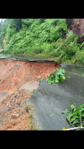 Anông sau những ngày mưa lũ về 🥹🥹 *còn nhiều ảnh chưa úp lên hết được 😵