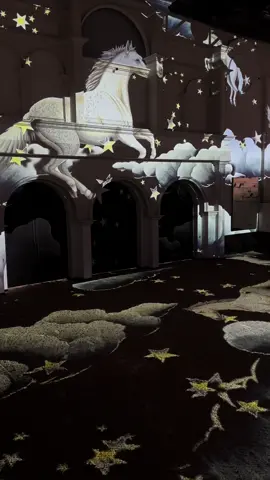 The Royal Gala opening ceremony of Abudhabi Royal Equestrian Arts🐎🇦🇪 #abudhabi #Equestrian #fyp #explore 