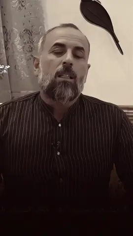 الشاعر دايم الشغانبي.. ٠ ٠ #حبر_الشعر #قناتي_تليجرام_بالبايو #شعراء #شعر 