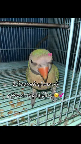 #fyppppppppppppppppppppppp #fyppppppppppppppppppppppp #fyppppppppppppppppppppppp 