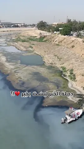 #دجلة #نهر_دجله #بغداد_العراق🇮🇶 #نهرين_دجلة_والفرات #دجلة_وفرات 
