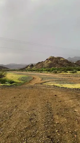 هل تعود تلك الليالي الي قضيناها في دوام فيصل #creatorsearchinsights2025 #ابوعلي🇸🇦❤️ #الزهراني🇸🇦❤️ #f #fy 