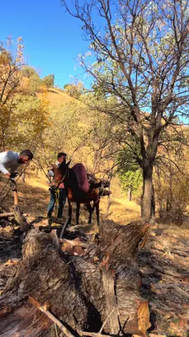 #🌏❤️ #fy❤️🌎❤️🌎❤️❤️ 