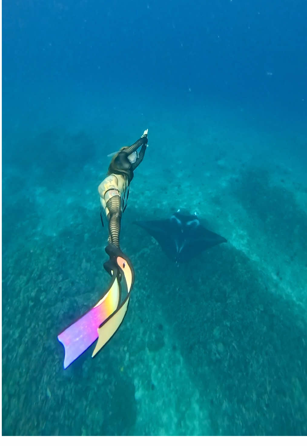 Gotta catch em all #pokemon #mantaray #freediver #freediving #ocean 