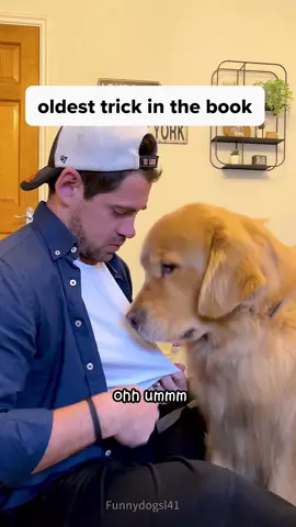 Trying to steal a kiss from my dog#dog #funnydog #dogsoftiktok #doglover #usa 