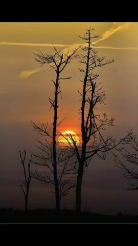 #អារម្មណ៍ដ៏សែនឈឺចាប់🥀💔😢 #អារម្មណ៍ #drama #foryou #ថ្ងៃនេះ @Chantha Natasa @Chantha @ឈឺ @ចងចាំ @ភ្នំ 