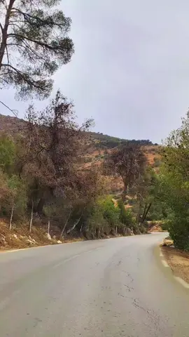 Tlemcen 13 🇩🇿🌲جبال الاوريت 🇩🇿الله يرحم شهداء الجزائر 🤲🇩🇿.                                                                                            #tik_tok #foru #اكسبلور #algerie🇩🇿 #tlemceni__13 