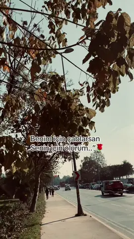 #kesfeteyizzzzzzzzzz #sıtorilikvidyo📌 