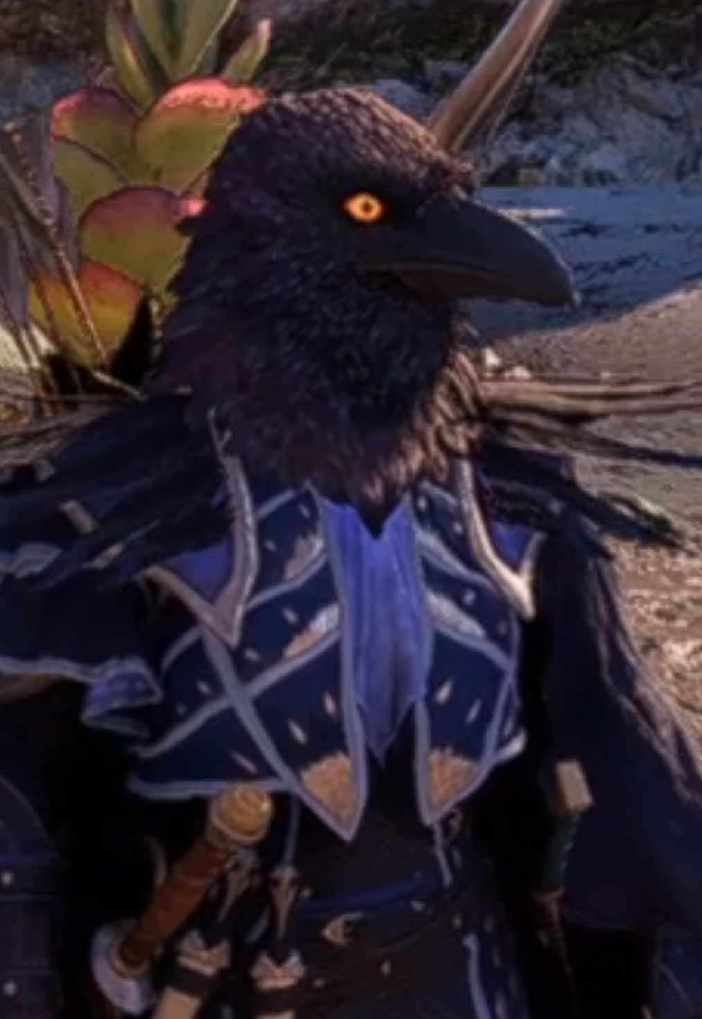 #dragonage #dragonagetheveilguard #dragonageorigins #antivancrows 