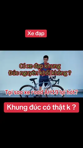 Xe đạp xdlim khung đúc
