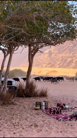 ♥️♥️  #اكسبلور #تبوك #تصويري #علقان #شتاء_السعودية 