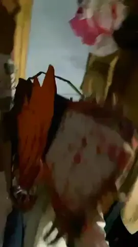 cosplaying denji 🎃🎃🎃 #fyppppppppppppppppppppppp #cosplay #chainsawman #fyp 