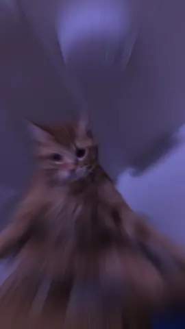 any time baan isbadali karaa😅#follow_mytiktok❤️💕 #muqdishotiktok🇸🇴🇸🇴❤ #sadvibes🥀 #😭😭😭😭 