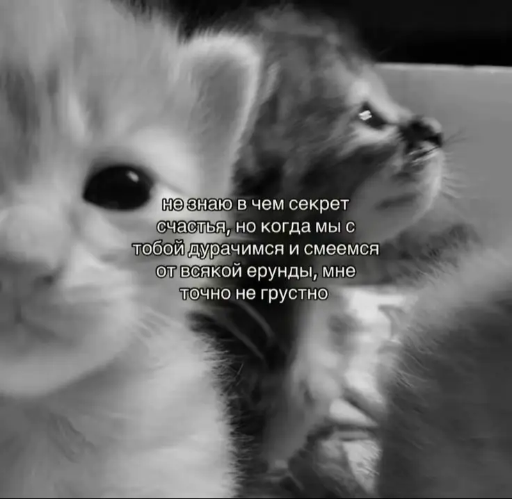 #щп #продвижениетикток #щппродружбу 