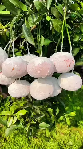 #fyp #foryou #funnytiktok #standwithkasmir #poshtofunny 