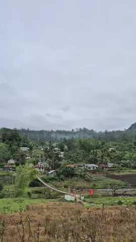 November bersemi 🍃 #berandafypシ #fyppppppppppppppppppppppp #fyp 