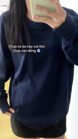 Chưa có áo này coi như chưa vào đông 🥶#muadong #sweater #aosweater #aonibong #fyp 
