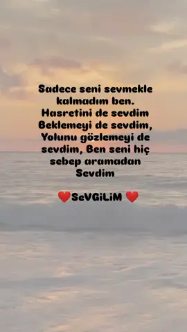 ❤️Ö❤️MRÜMM 🤗13.13🤗 Sadece seni sevmekle kalmadım ben. Hasretini de sevdim Beklemeyi de sevdim, Yolunu gözlemeyi de sevdim, Ben seni hiç sebep aramadan Sevdim  ❤️SeVGiLiM❤️ #sevdayeli250921 #keşfetbeniöneçıkar #keşfetteyizzz #keşfetedüş #capcutvelocity 