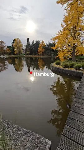 اماكن جميلة في #هامبورغ  #hamburg #fürdich #herbst 